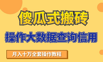 搬砖操作大数据查询信用项目赚钱教程，祝你快速月入6万- 副业 - 兼职-冷颜学社