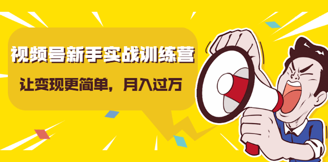 视频号新手实战训练营，让变现更简单，玩赚视频号，轻松月入过万- 副业 - 兼职-冷颜学社