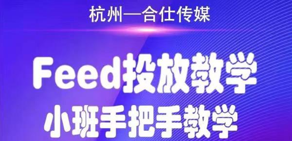 合仕传媒Feed投放教学，手把手教学，开车烧钱必须自己会- 副业 - 兼职-冷颜学社