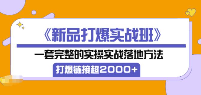 凌童《新品打爆实战班》,一套完整的实操实战落地方法，打爆链接超2000+（28节课)- 副业 - 兼职-冷颜学社