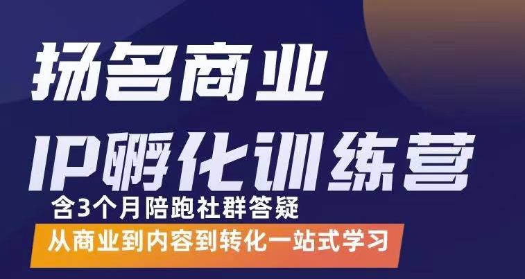 杨名商业IP孵化训练营，从商业到内容到转化一站式学 价值5980元- 副业 - 兼职-冷颜学社