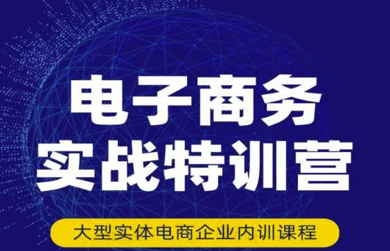 民赛电气内部出品：电子商务实战特训营，全方位带你入门电商，308种方式玩转电商- 副业 - 兼职-冷颜学社