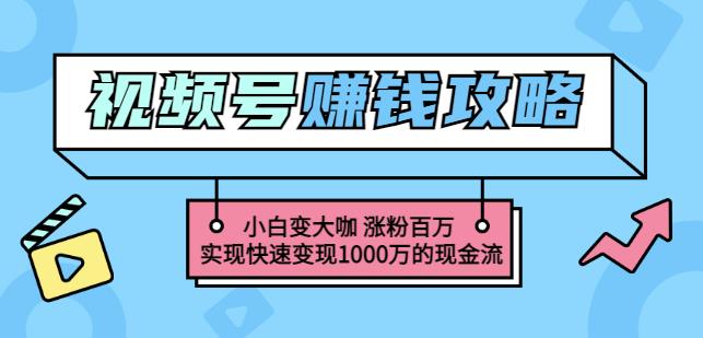 玩转微信视频号赚钱：小白变大咖涨粉百万实现快速变现1000万的现金流- 副业 - 兼职-冷颜学社