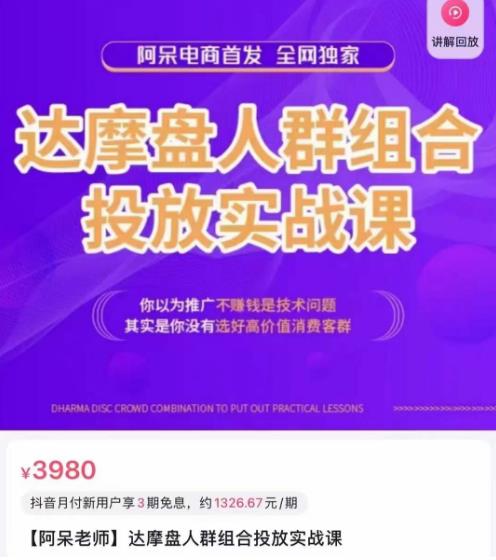 阿呆电商·达摩盘人群组合投放实战课，你以为推广不赚钱是技术问题，其实是你没有选好高价值消费客群- 副业 - 兼职-冷颜学社