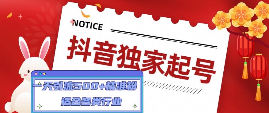 抖音独家起号，一天引流500+精准粉，适合各类行业（9节视频课）- 副业 - 兼职-冷颜学社