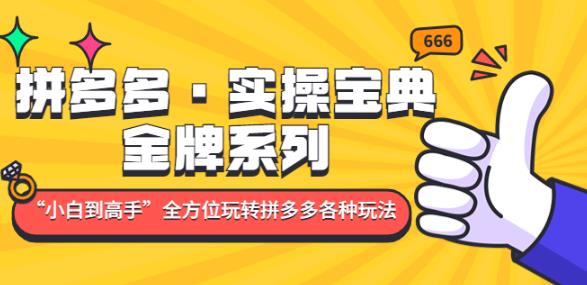 拼多多·实操宝典：金牌系列“小白到高手”带你全方位玩转拼多多各种玩法- 副业 - 兼职-冷颜学社