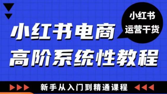 小红书电商高阶系统教程，新手从入门到精通系统课- 副业 - 兼职-冷颜学社