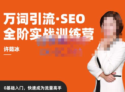 许茹冰·万词引流-SEO全阶实战训练营，0基础入门，快速成为流量高手- 副业 - 兼职-冷颜学社