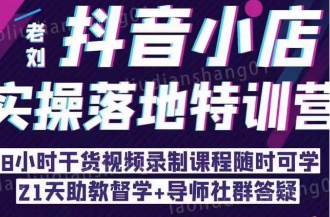 抖音小店实操落地特训营：抖音小店无货源精细化运营，抖店商品卡流量（22节）- 副业 - 兼职-冷颜学社