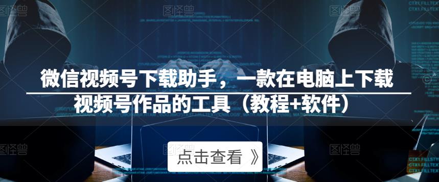 微信视频号下载助手，一款在电脑上下载视频号作品的工具（教程+软件）- 副业 - 兼职-冷颜学社