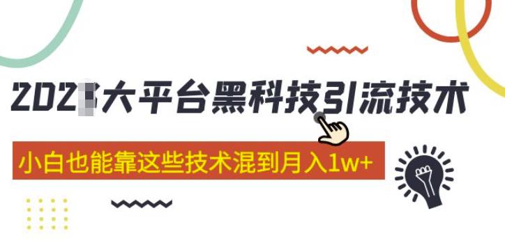 大平台黑科技引流技术，小白也能靠这些技术混到月入1w+(2022年的课程）- 副业 - 兼职-冷颜学社