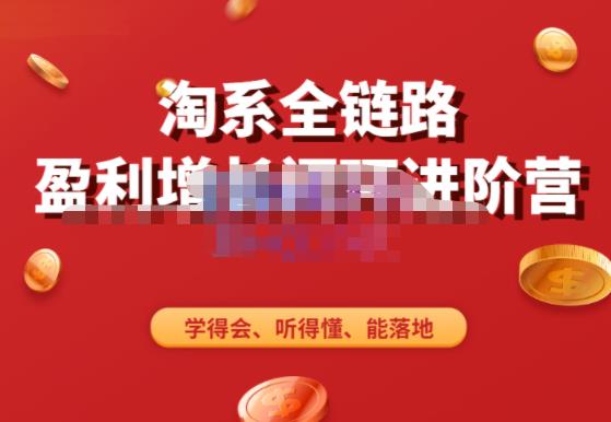 淘系全链路盈利增长闭环进阶营，融合全店动销，学得会、听得懂、能落地！- 副业 - 兼职-冷颜学社
