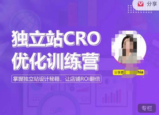 独立站CRO优化训练营，掌握独立站设计秘籍，打造高转化的独立站，让店铺ROI翻倍- 副业 - 兼职-冷颜学社