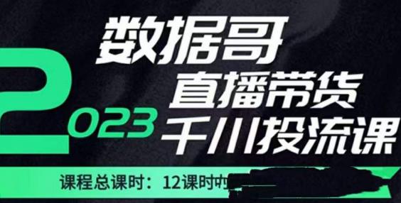 数据哥2023直播电商巨量千川付费投流实操课，快速掌握直播带货运营投放策略- 副业 - 兼职-冷颜学社