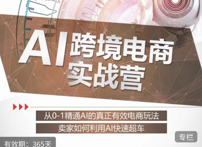 白龙老师·AI跨境电商实战营：从0-1精通Al的真正有效电商玩法，卖家如何利用Al快速超车- 副业 - 兼职-冷颜学社