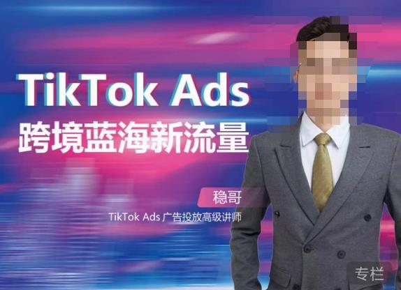 稳哥·如何投出高ROI的TikTok广告，开拓独立站卖家流量新蓝海- 副业 - 兼职-冷颜学社