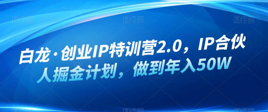 白龙·创业IP特训营2.0，IP合伙人掘金计划，做到年入50W- 副业 - 兼职-冷颜学社