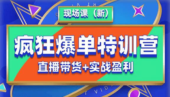 抖音短视频疯狂爆单特训营现场课（新）直播带货+实战案例- 副业 - 兼职-冷颜学社