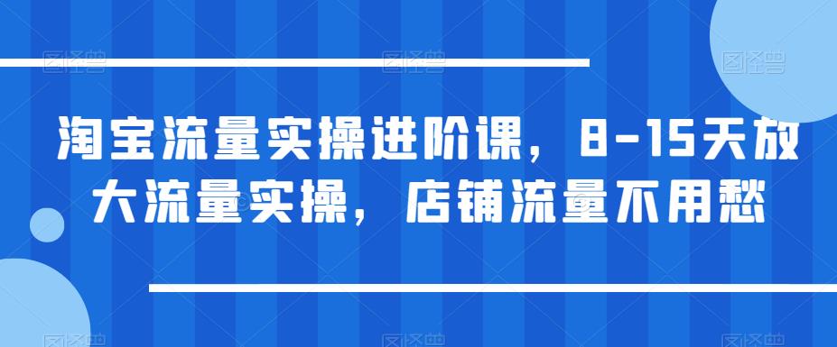 淘宝流量实操进阶课，8-15天放大流量实操，店铺流量不用愁- 副业 - 兼职-冷颜学社