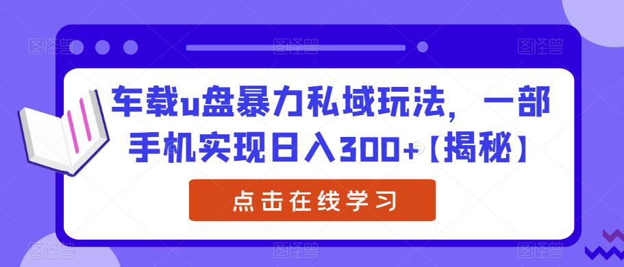 车载u盘暴力私域玩法，一部手机实现日入300+【揭秘】- 副业 - 兼职-冷颜学社