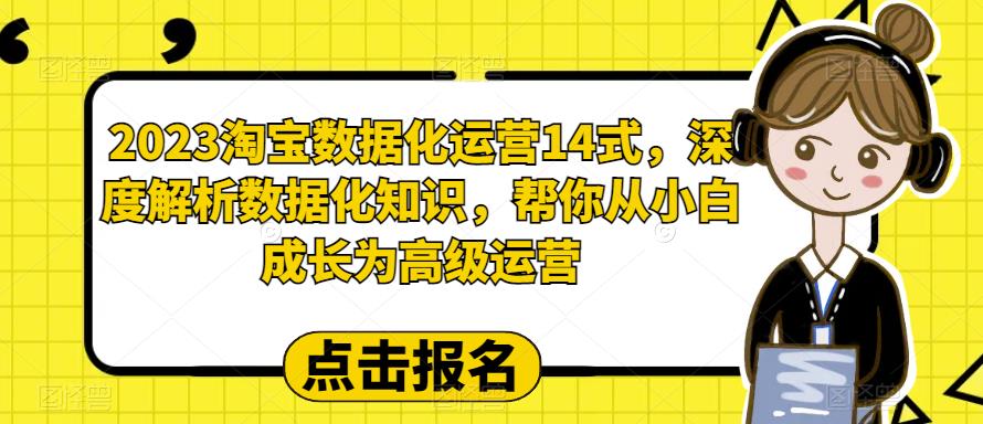 2023淘宝数据化运营14式，深度解析数据化知识，帮你从小白成长为高级运营- 副业 - 兼职-冷颜学社