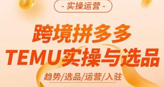 伍跃·跨境拼多多TEMU实操与选品，​趋势/选品/运营/入住（27节完整）- 副业 - 兼职-冷颜学社