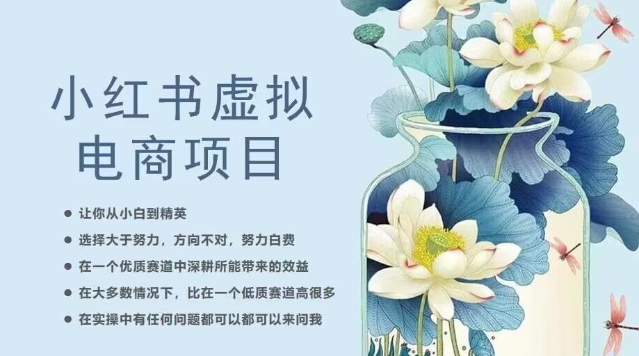 小红书虚拟电商从0到1，让你从小白到精英（20节实操课程）- 副业 - 兼职-冷颜学社