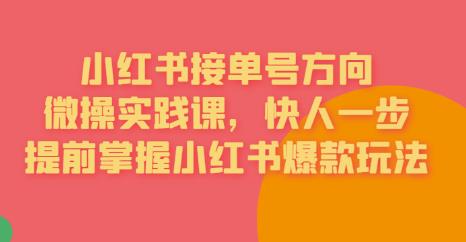 接单号方向·小红书微操实践课，快人一步，提前掌握小红书爆款玩法- 副业 - 兼职-冷颜学社