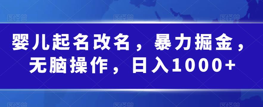 婴儿起名改名，暴力掘金，无脑操作，日入1000+【揭秘】- 副业 - 兼职-冷颜学社