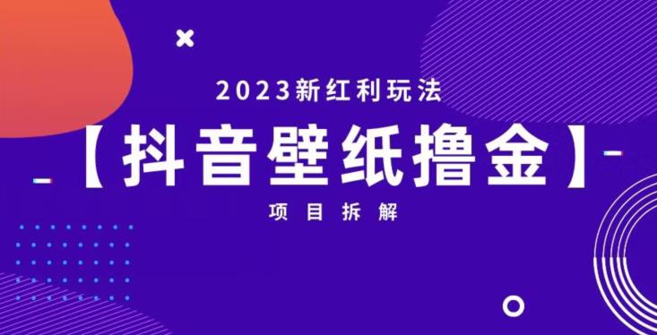 抖音壁纸小程序创作者撸金项目，2023新红利玩法【项目拆解】- 副业 - 兼职-冷颜学社