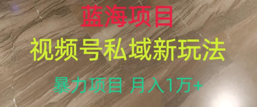 蓝海项目，视频号私域新玩法，暴力项目月入1万+【揭秘】- 副业 - 兼职-冷颜学社