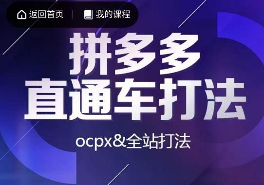 互力·拼多多直通车打法，ocpx&全站打法- 副业 - 兼职-冷颜学社