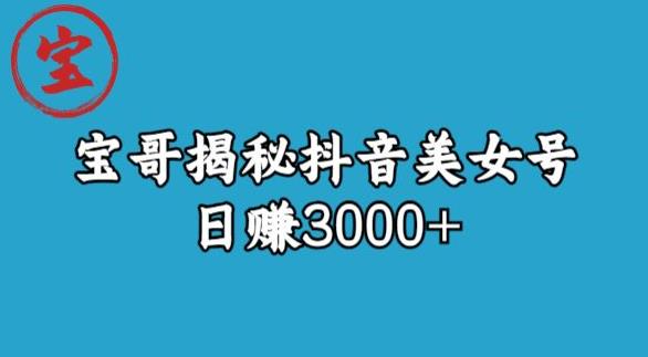 宝哥揭秘抖音美女号玩法，日赚3000+【揭秘】- 副业 - 兼职-冷颜学社