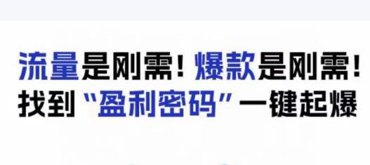 电商盈利精品课：6大盈利密码让产品更好卖，流量是刚需！爆款是刚需！找到”盈利密码”一键起爆- 副业 - 兼职-冷颜学社