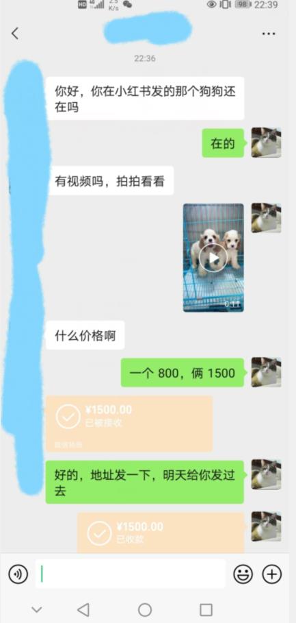 外边收费3980的同城萌宠项目，用最冷门的玩法冲击最热门的市场【揭秘】- 副业 - 兼职-冷颜学社