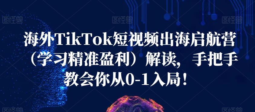 海外TikTok短视频出海启航营（学习精准盈利）解读，手把手教会你从0-1入局！- 副业 - 兼职-冷颜学社