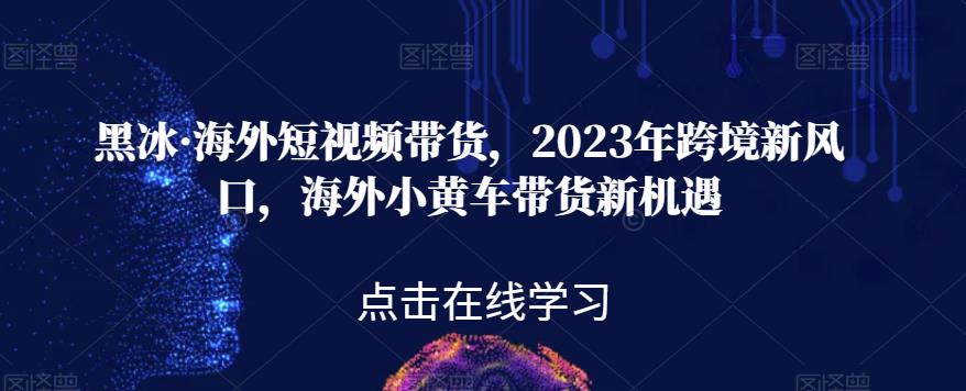 黑冰·海外短视频带货，2023年跨境新风口，海外小黄车带货新机遇- 副业 - 兼职-冷颜学社