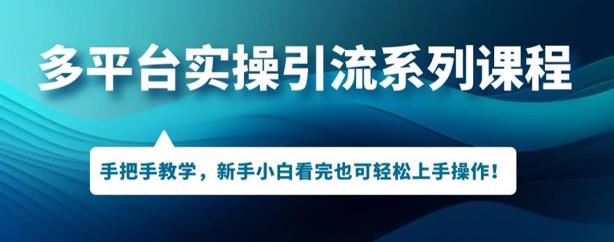 多平台引流实操系列课程，新手小白看完也可轻松上手进行引流操作- 副业 - 兼职-冷颜学社