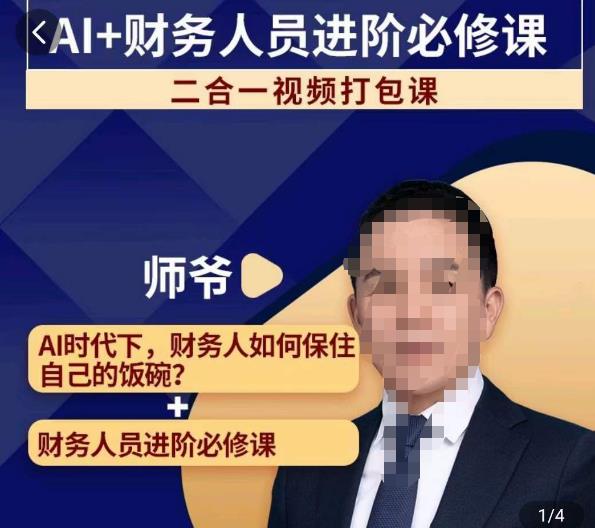 AI+财务人员进阶必修课二合一视频打包课，财务人员进阶必修课- 副业 - 兼职-冷颜学社