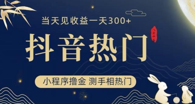 抖音最新小程序撸金，测手相上热门，当天见收益一小时变现300+【揭秘】- 副业 - 兼职-冷颜学社