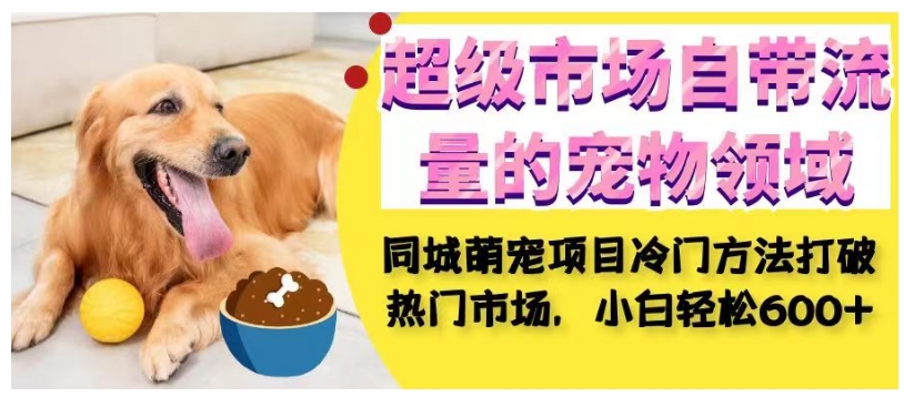 超级市场自带流量的宠物领域，同城萌宠项目冷门方法打破热门市场，小白轻松600+- 副业 - 兼职-冷颜学社