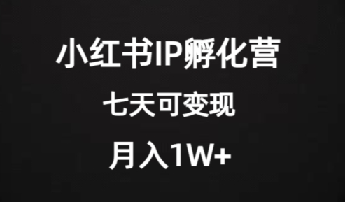 价值2000+的小红书IP孵化营项目，超级大蓝海，七天即可开始变现，稳定月入1W+- 副业 - 兼职-冷颜学社