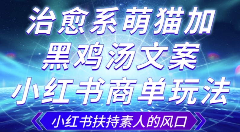 治愈系萌猫加+黑鸡汤文案，小红书商单玩法，3~10天涨到1000粉，一单200左右- 副业 - 兼职-冷颜学社