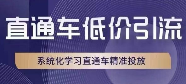 直通车低价引流课，系统化学习直通车精准投放- 副业 - 兼职-冷颜学社