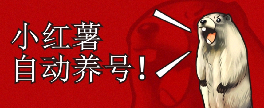 小红书养号秘籍，如何自动涨粉清晰系统标签打造高权重账号【揭秘】- 副业 - 兼职-冷颜学社