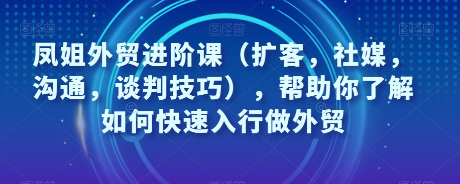 凤姐外贸进阶课（扩客，社媒，沟通，谈判技巧），帮助你了解如何快速入行做外贸- 副业 - 兼职-冷颜学社