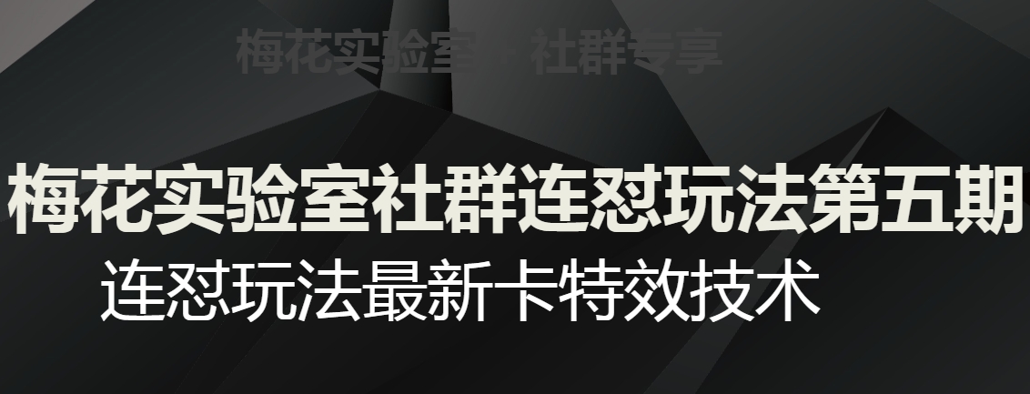 梅花实验室社群连怼玩法第五期，视频号连怼玩法最新卡特效技术- 副业 - 兼职-冷颜学社