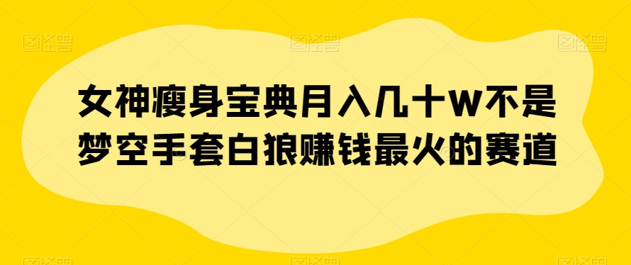 女神瘦身宝典月入几十W不是梦空手套白狼赚钱最火的赛道【揭秘】- 副业 - 兼职-冷颜学社