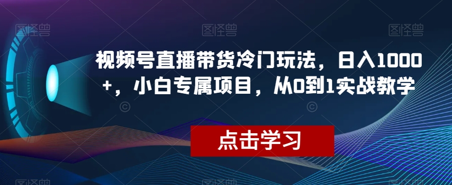 视频号直播带货冷门玩法，日入1000+，小白专属项目，从0到1实战教学【揭秘】- 副业 - 兼职-冷颜学社