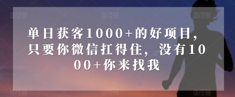 单日获客1000+的好项目，只要你微信扛得住，没有1000+你来找我【揭秘】- 副业 - 兼职-冷颜学社